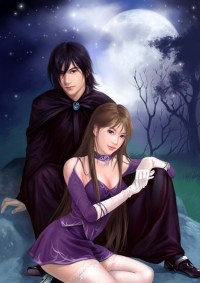生之不再為婿林南