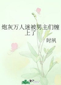 炮灰万人迷被男主们缠上了